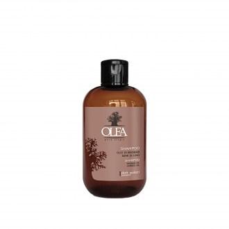 Olea Pure Origin Σαμπουάν με Έλαιο Baobab κ Λιναρόσπορου  Πλούσιο Σε Αμινοξέα κ Βιταμίνες-250ml 11010