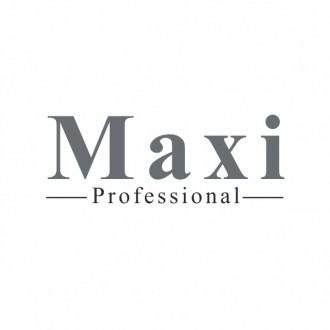 maxi_logo