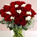 Σοφία Μαρκόνη